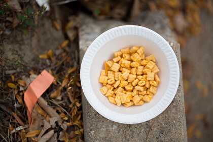 Céréales de petit-déjeuner